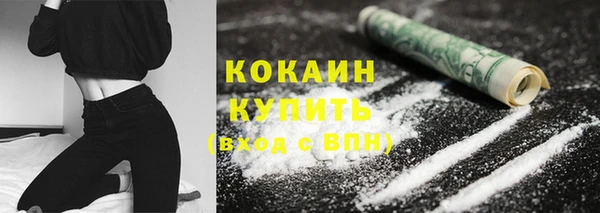 соль ск Алзамай