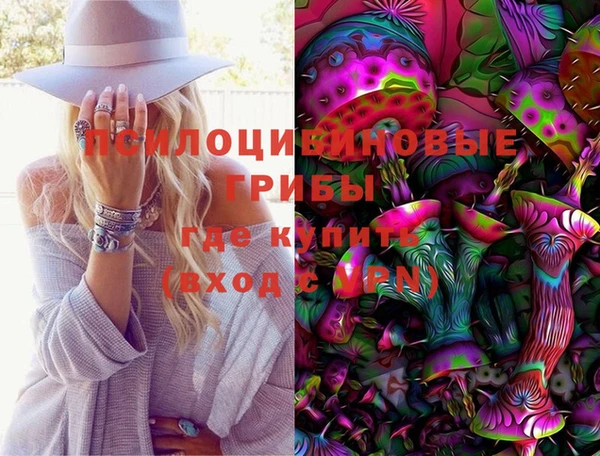 соль ск Алзамай