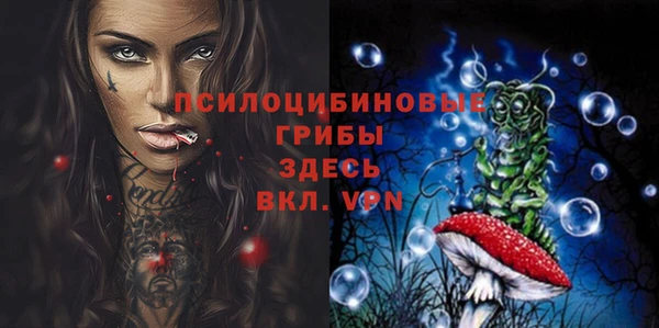 соль ск Алзамай