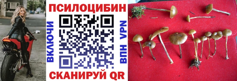 ОМГ ОМГ ONION  дарнет шоп  Биробиджан  Псилоцибиновые грибы Cubensis 