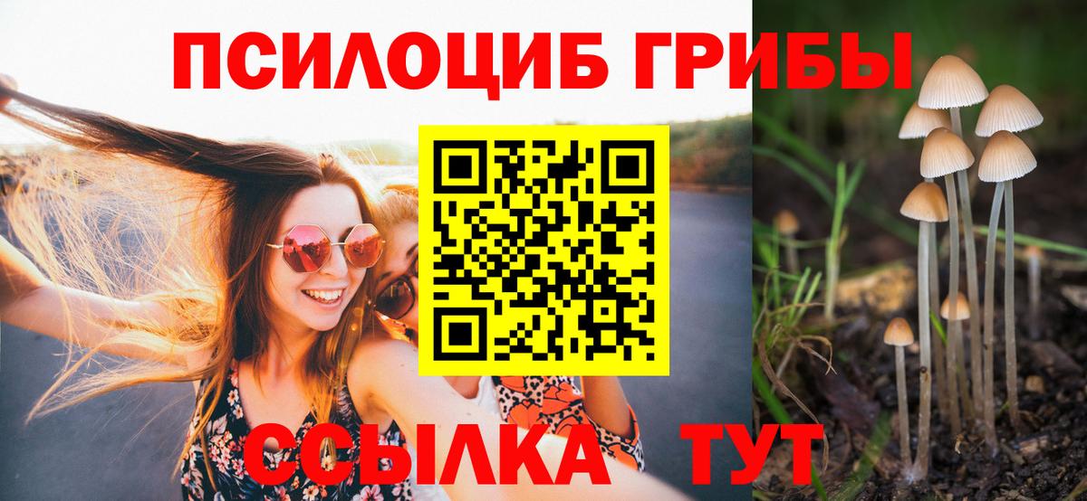 Псилоцибиновые грибы MAGIC MUSHROOMS  Вход с VPN  Биробиджан 