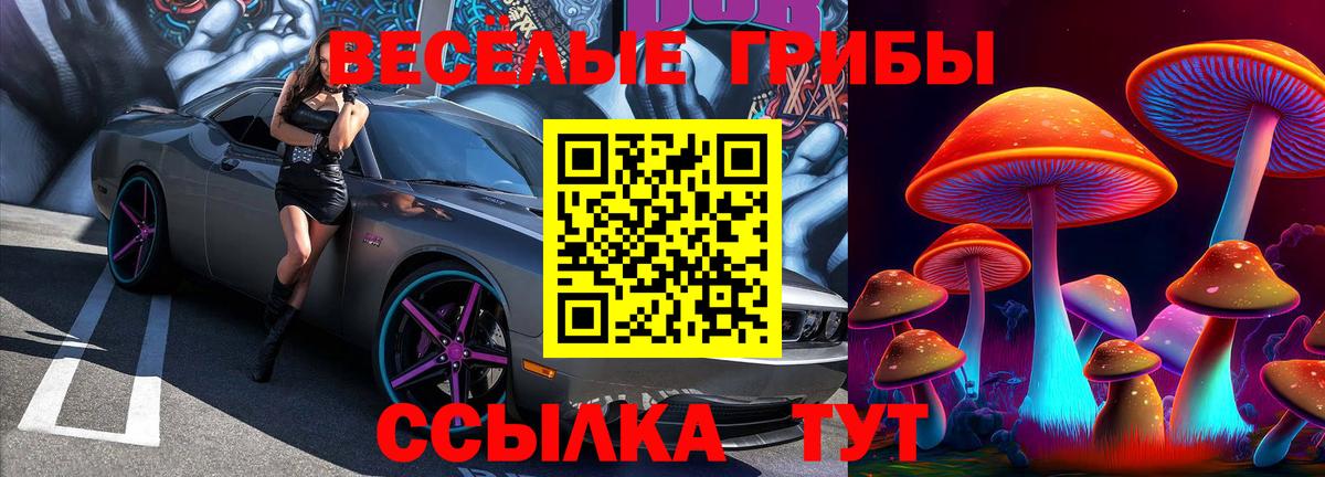 Псилоцибиновые грибы ЛСД Биробиджан